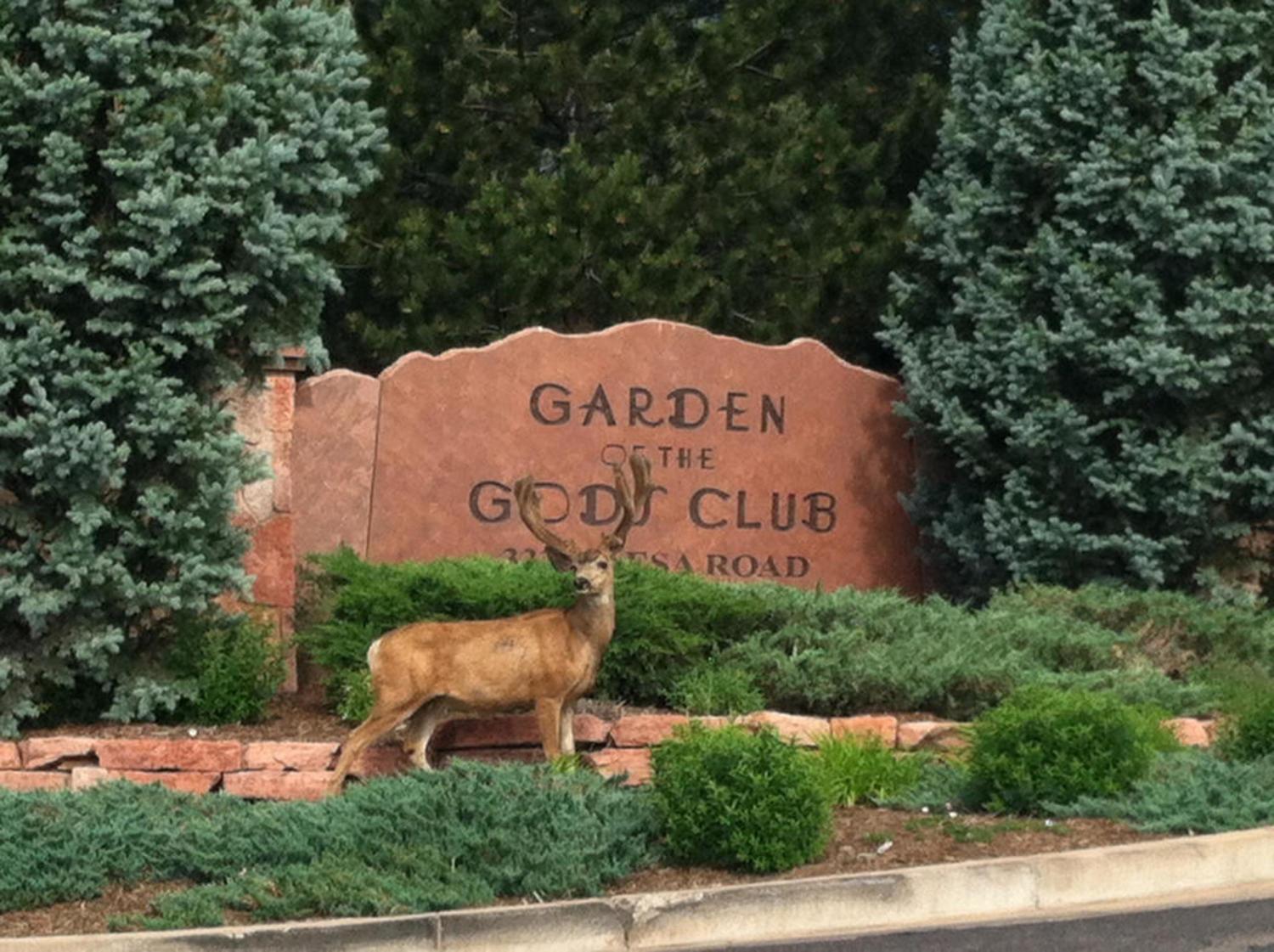 קולורדו ספרינגס Garden Of The Gods Resort & Club מראה חיצוני תמונה